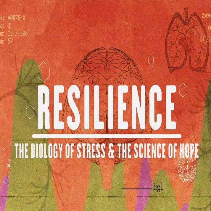 child abuse and resiliance Adversity, maltreatment, and resilience in maltreatment, and resilience in the sample of 943 families was from the longitudinal studies of child abuse. child abuse and resiliance Adversity, maltreatment, and resilience in maltreatment, and resilience in the sample of 943 families was from the longitudinal studies of child abuse.