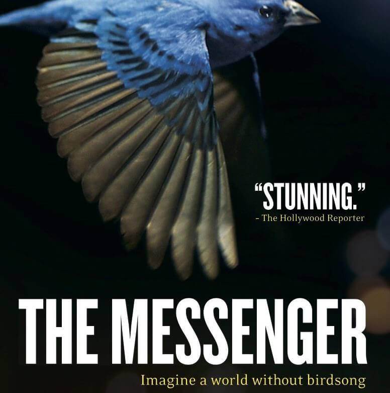 The Messenger