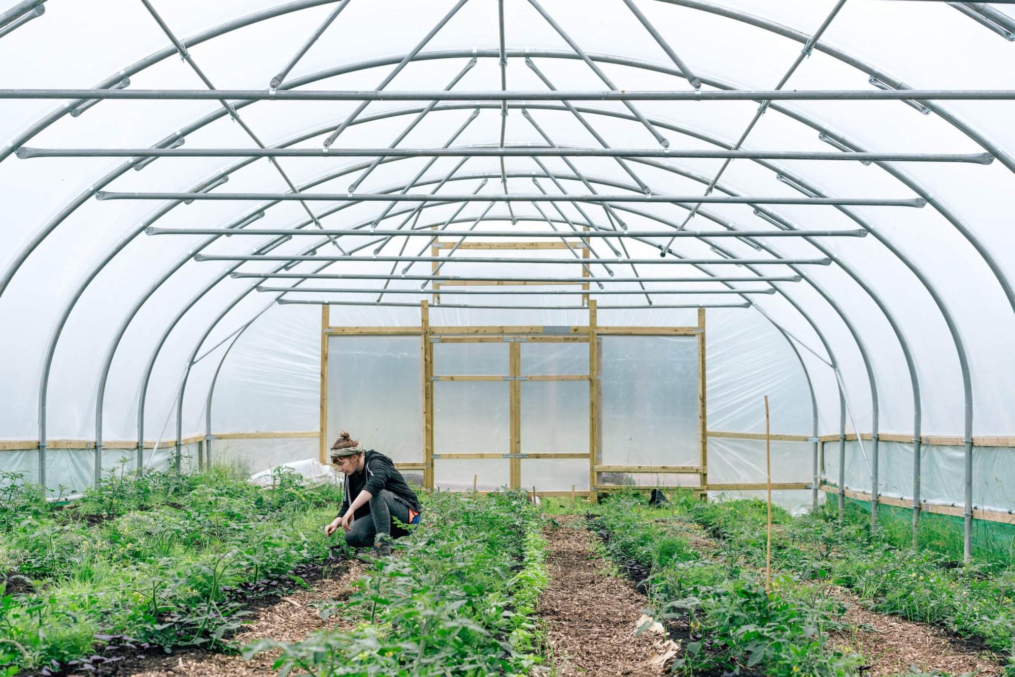 Regather Farm - Market Garden
