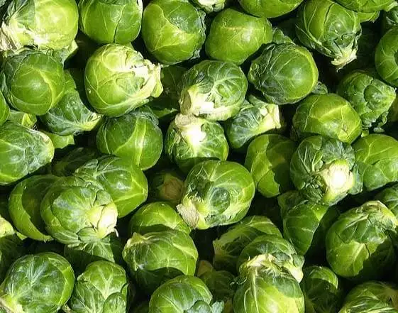 brussels sprouts