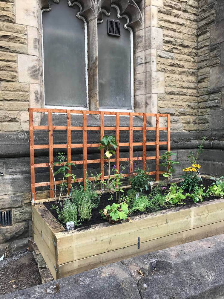 Regather Farm - Market Garden