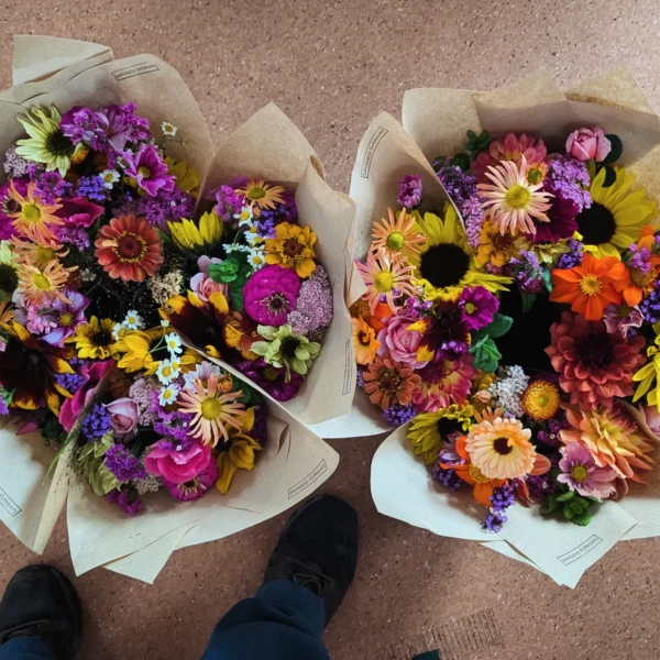 seasonal bouquets & buckets