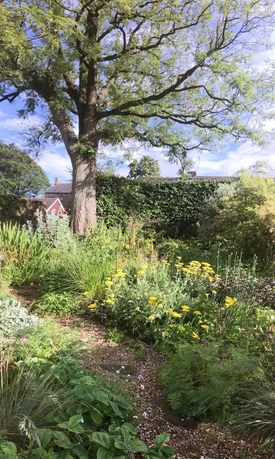 cottage garden with wildlife attracting planting 02