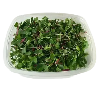 Microgreens, Sheffield