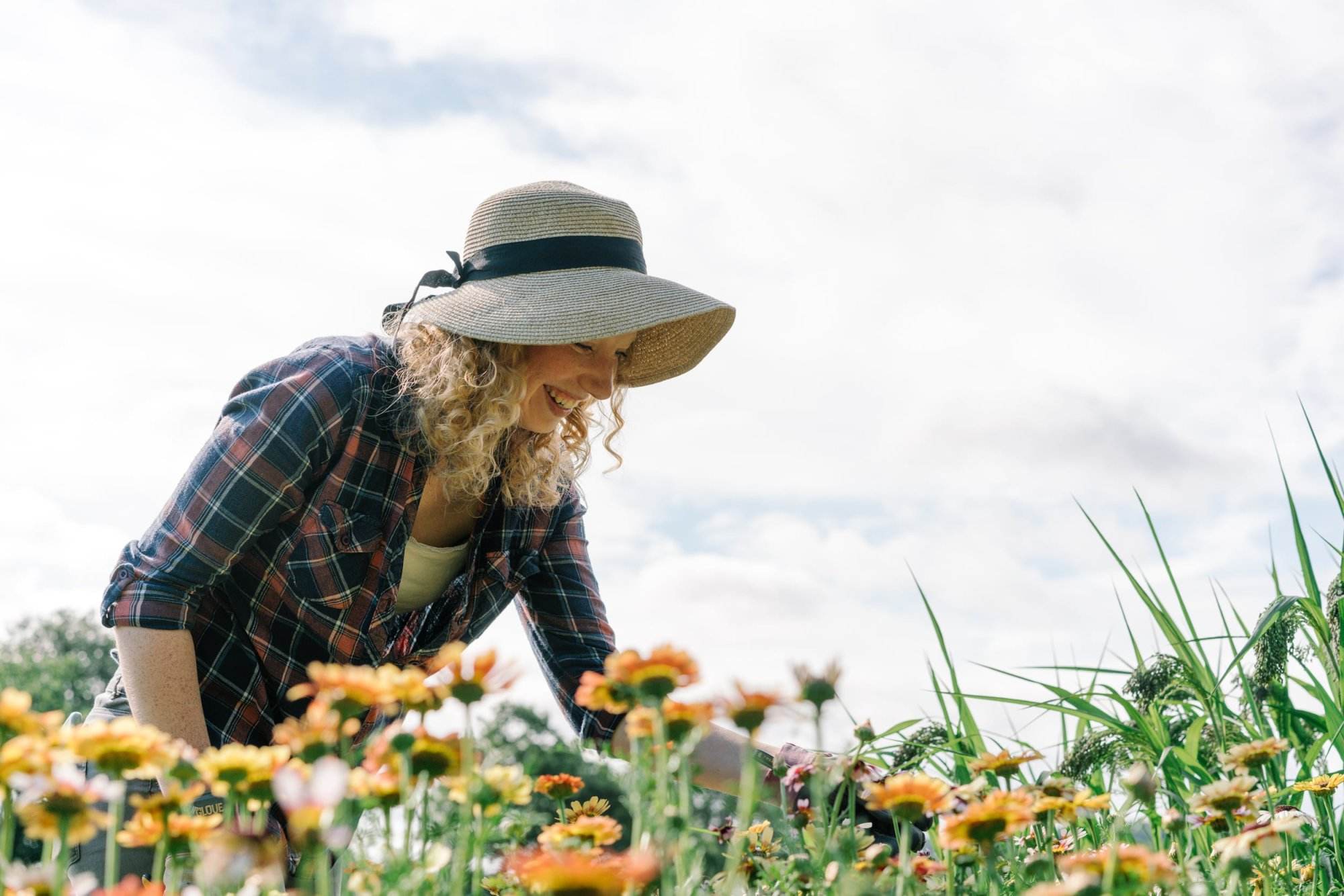 A beautiful bouquet of fresh flowers grown on Regather's flower farm