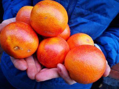 blood oranges