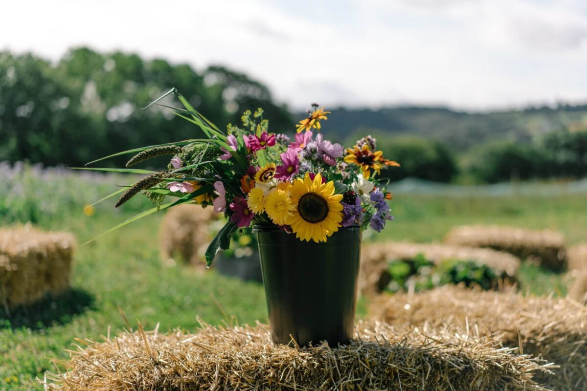 Flowers on the farm