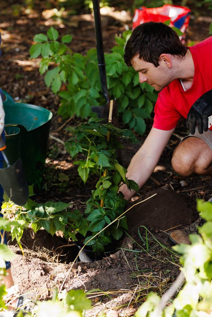 Volunteers helping transform space