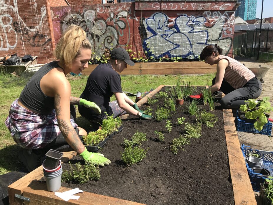 People growing food at the allotment at Club Garden