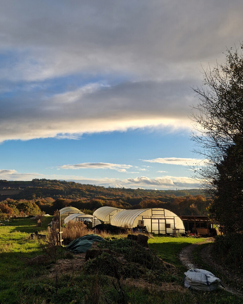 regather farm in the moss valley