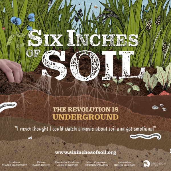 six inches of soil