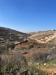 al masara farm 2