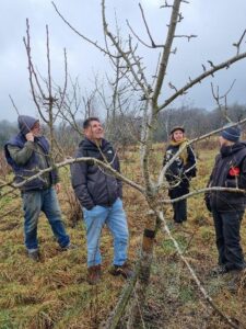 mahmud agroforestry