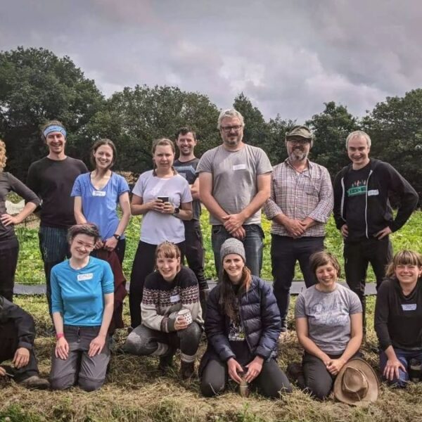 economic benefits organic food