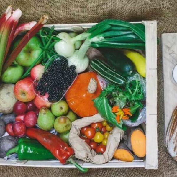 organic veg box sheffield