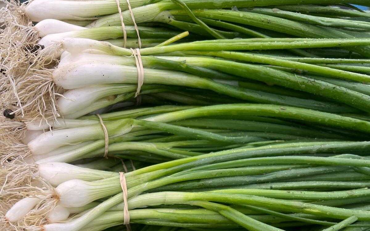 spring onions