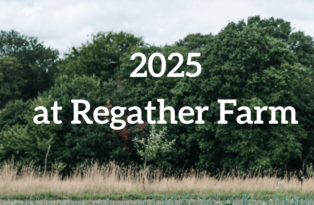 yearly roundup 2025