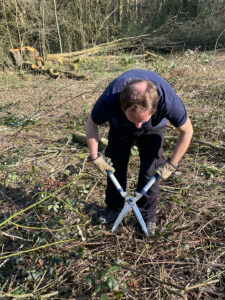 Planting fruit trees at Coneygree Orchard, Gleadless Valley, Sheffield