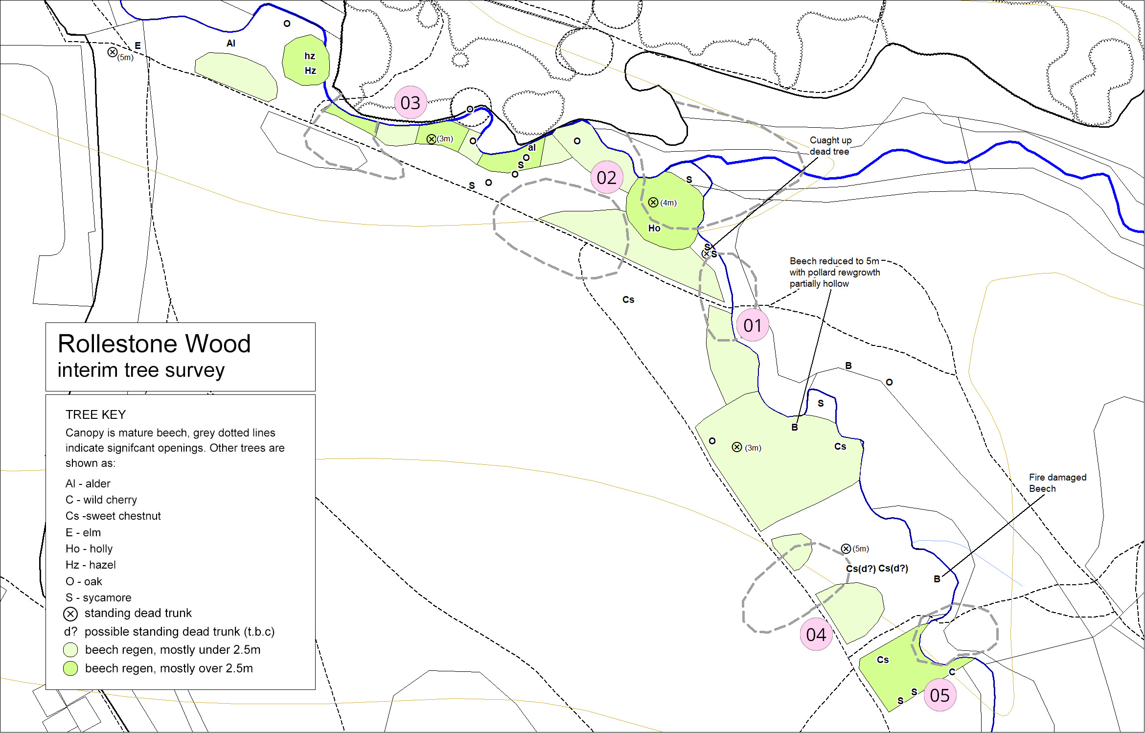 rw7 stream tree survey map with numbers copy