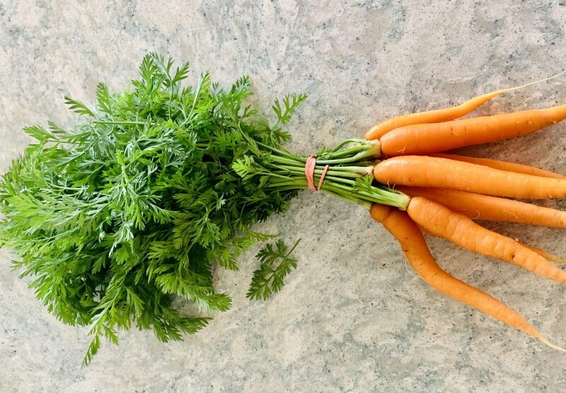 Roasted Carrots with ricotta and carrot top pesto