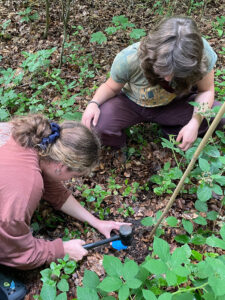 installing a sensor