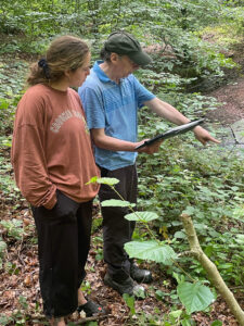 pointing out sensor location