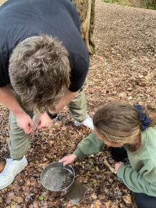 sieving a soil sample