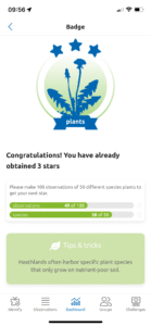 Obsidentify 3 stars awarded