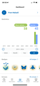 Obsidentify dashboard statistics